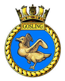HMS GOSLING BADGE